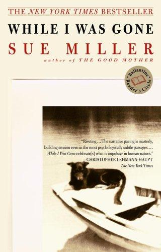 Cover of While I Was Gone