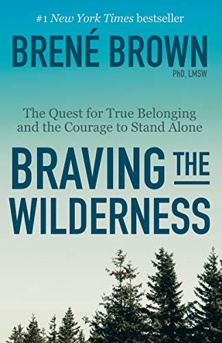 Cover of Braving the Wilderness
