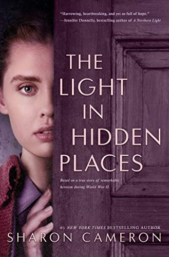 Cover of The light in hidden places : a novel based on the true story of Stefania Podgórska