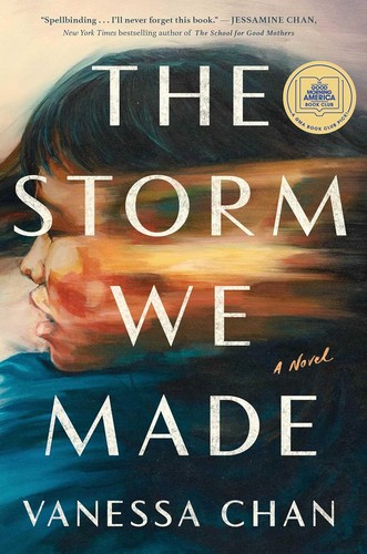Cover of The storm we made