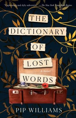 Cover of Dictionary of Lost Words
